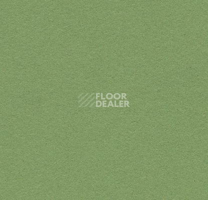 Линолеум Forbo Marmoleum Bulletin Board 2213 baby lettuce фото 1 | FLOORDEALER